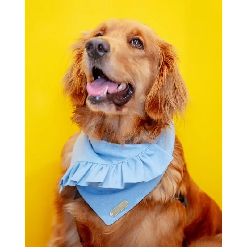 Chambray Ruffle Bandana for Dogs (Made in the USA) (FINAL SALE)