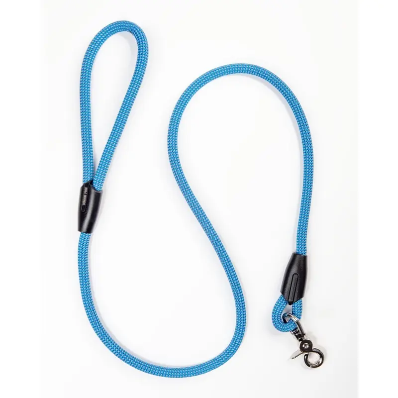 Classic Dog Leash in Blue (Made in the USA)