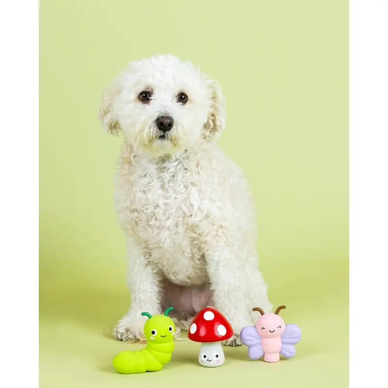 Keeping it Natural 3 Piece Squeaky Latex Dog Toy Set (FINAL SALE)