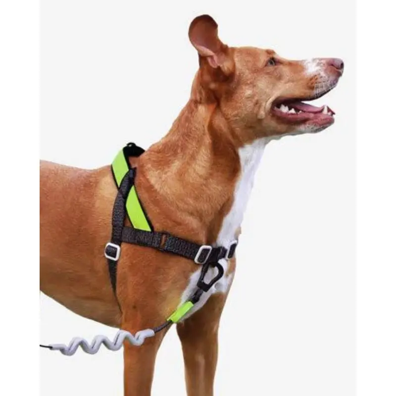 SofterWalk No-Pull Dog Harness in Reflective Nox