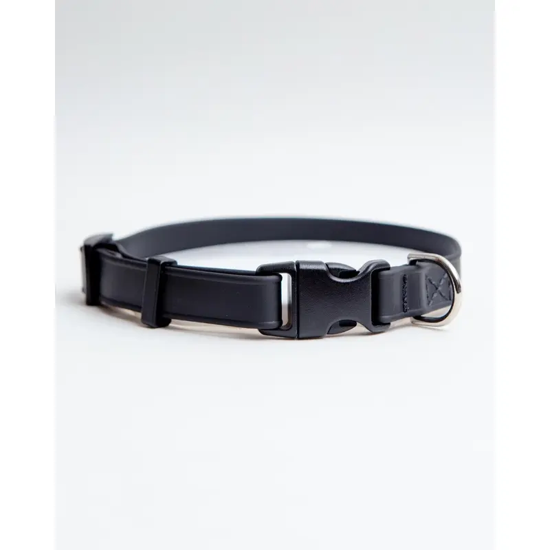 A Walk in the Park Dog Collar in Black (Made in the USA)