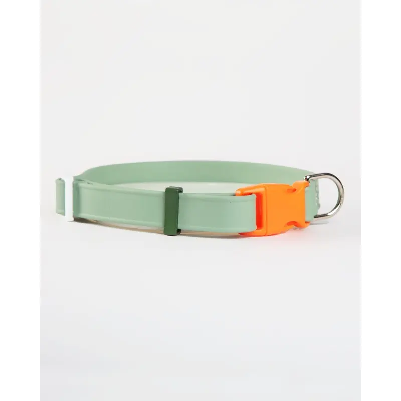 A Walk in the Park Dog Collar in Sage Green (Made in the USA)