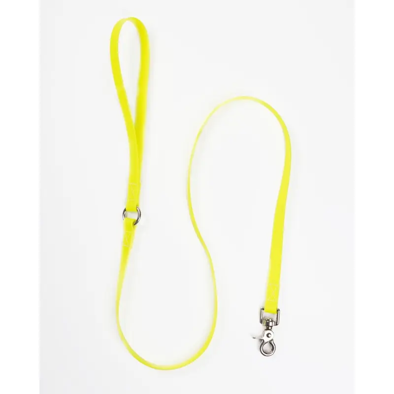 A Walk in the Park Dog Leash in Neon Yellow (Made in the USA)