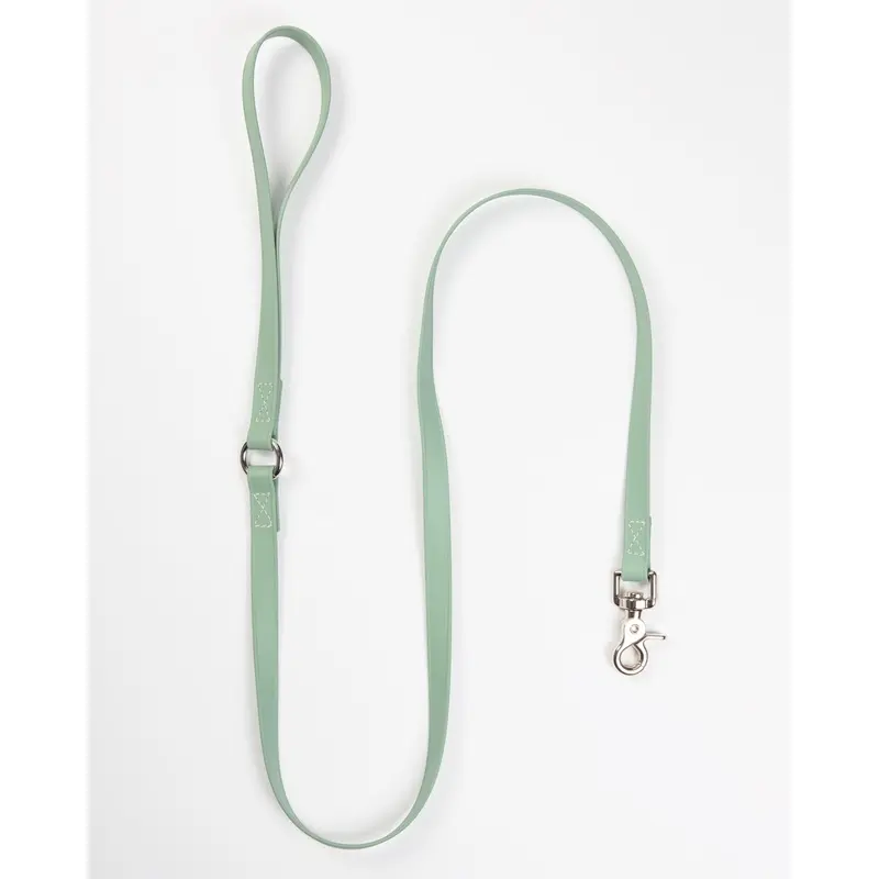 A Walk in the Park Dog Leash in Sage Green (Made in the USA)