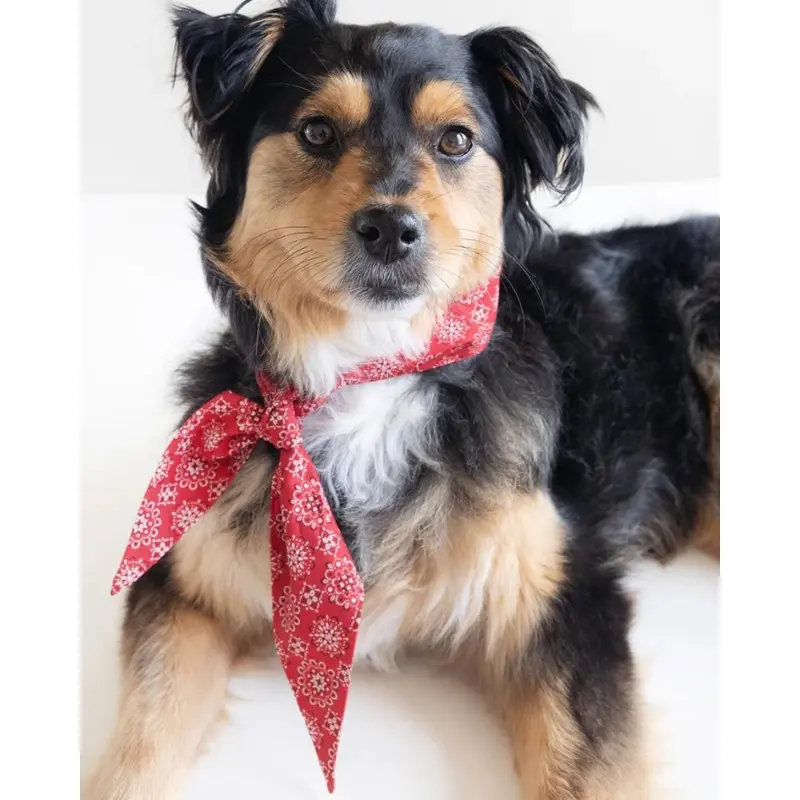 Classic Red Necktie for Dogs (Made in the USA)