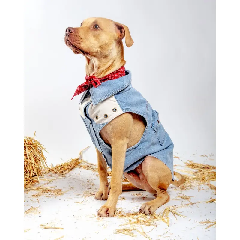 Maverick Denim Dog Shirt (FINAL SALE)