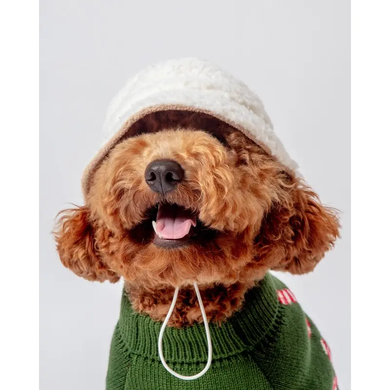 Sherpa Bucket Hat for Dogs