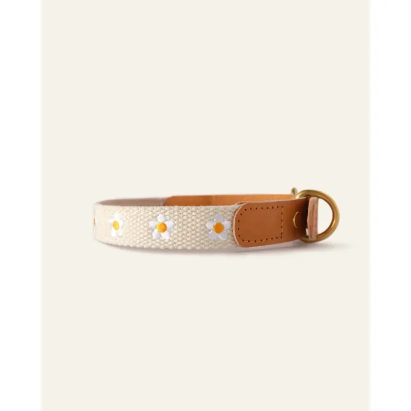 Cotton + Leather Daisy Dog Collar