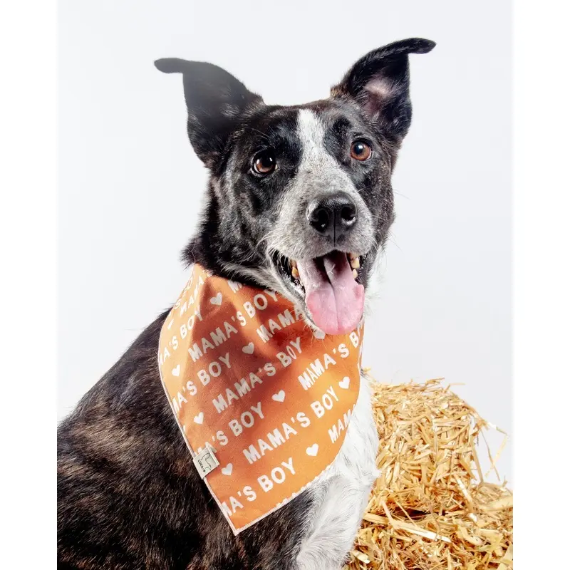 Mama's Boy Bandana (Made in the USA)