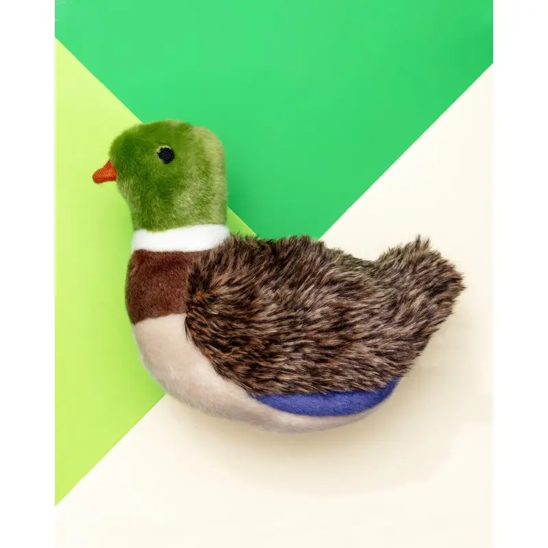 Morley Mallard Squeaky Dog Plush Toy