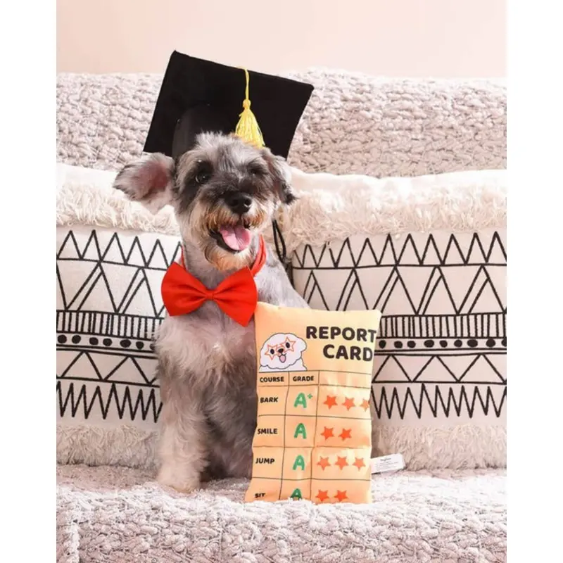 Report Card Plush Squeaky Dog Toy (FINAL SALE)