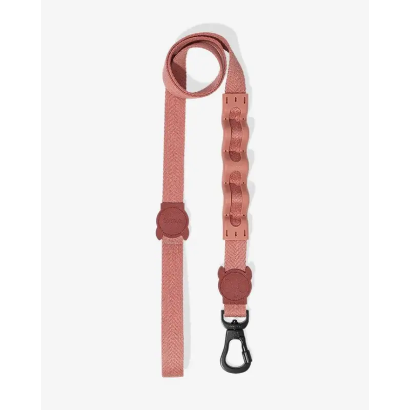 Ruff Leash for Dogs in Canyon (FINAL SALE)