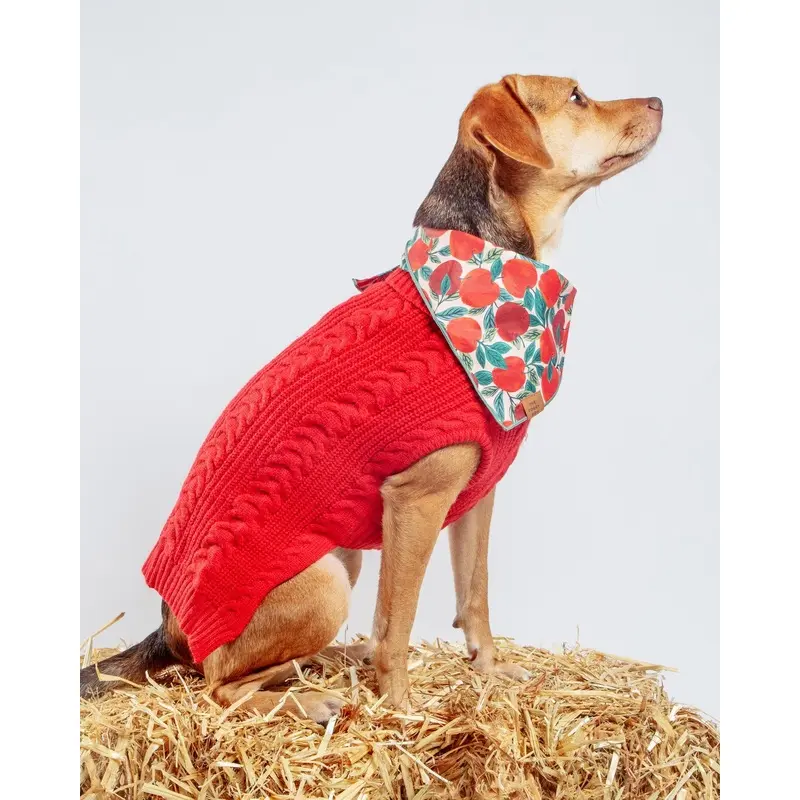 Classic Cable Dog Turtleneck Sweater in Red (FINAL SALE)