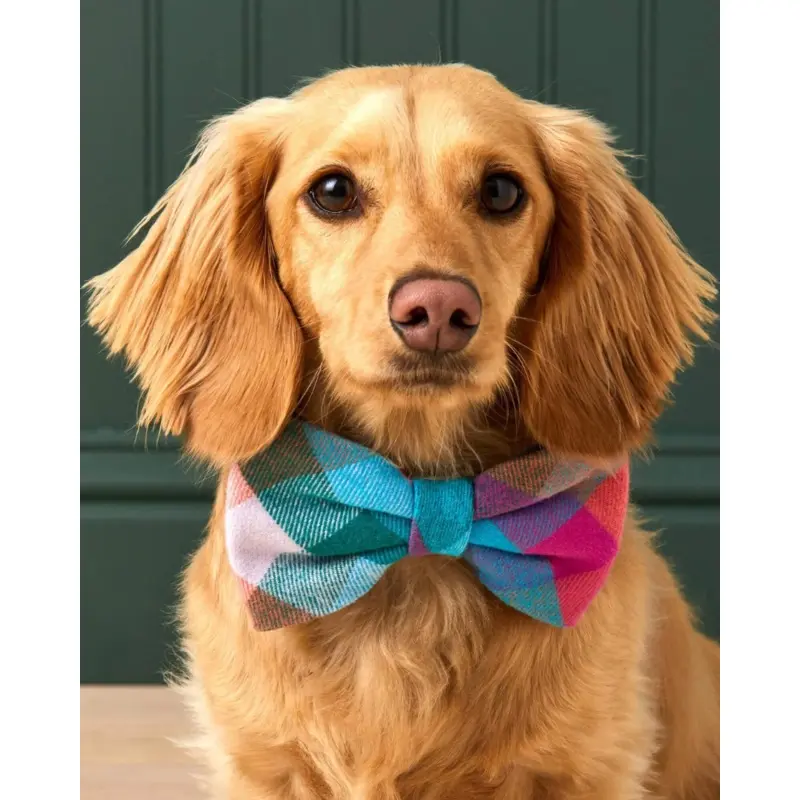 Color Pop Flannel Dog Bow Tie (Made in the USA)