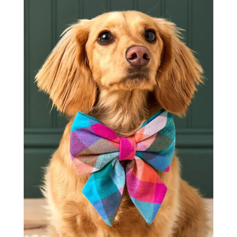 Color Pop Flannel Lady Dog Bow Tie (Made in the USA)