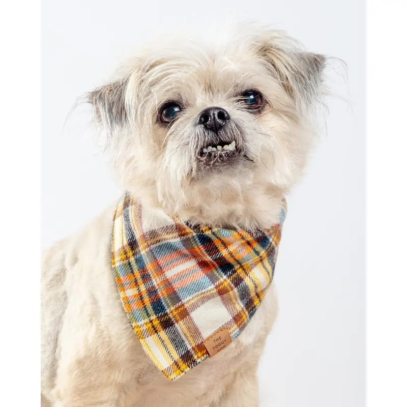 Cornucopia Flannel Fall Dog Bandana (Made in the USA) (FINAL SALE)