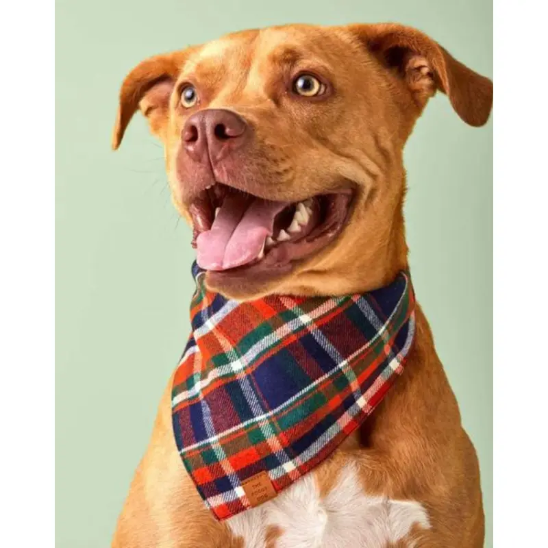 Dakota Plaid Flannel Dog Bandana (Made in the USA) (FINAL SALE)