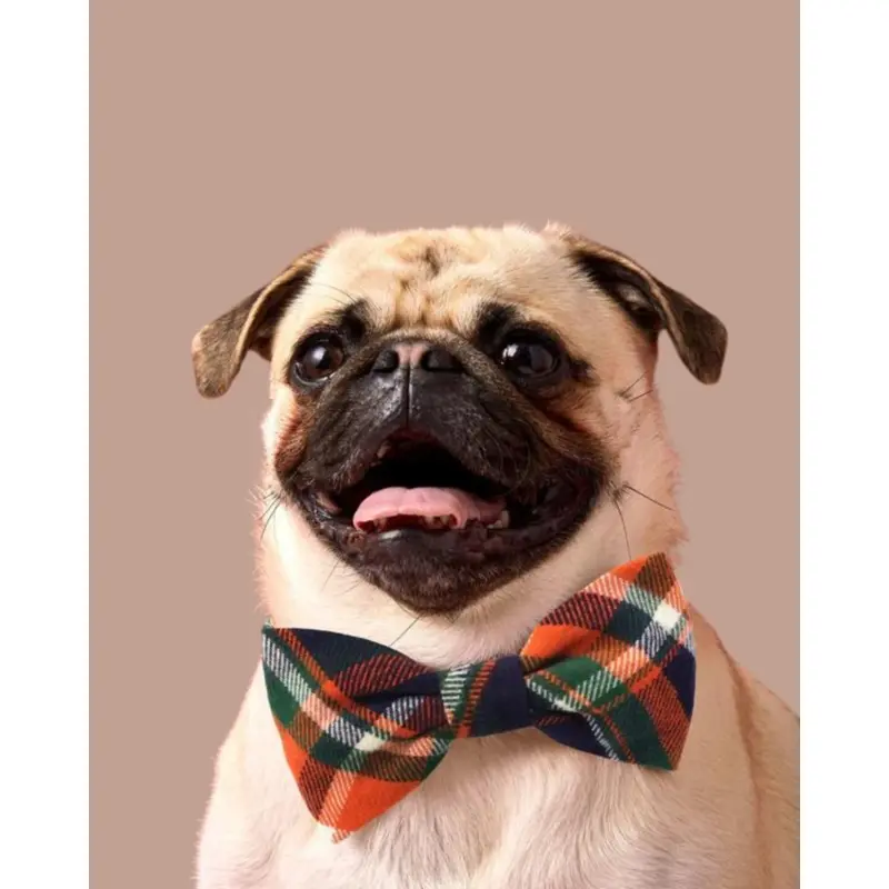 Dakota Plaid Flannel Dog Bow Tie (Made in the USA)