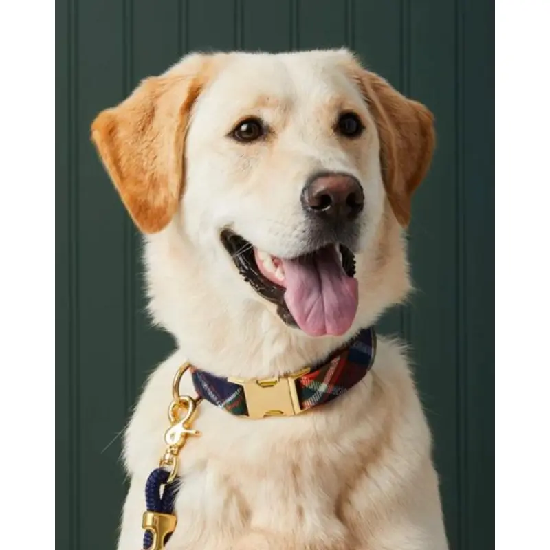 Dakota Plaid Flannel Dog Collar (Made in the USA)