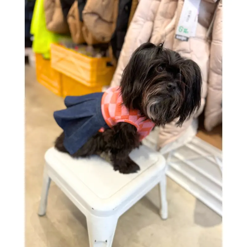 Doggie Denim Skirt (Made in the USA)
