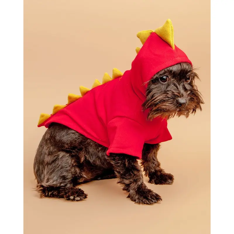 Doggie Dragon Sweatshirt