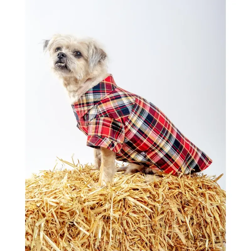 Flannel Plaid Button Down Shirt in Red (FINAL SALE)