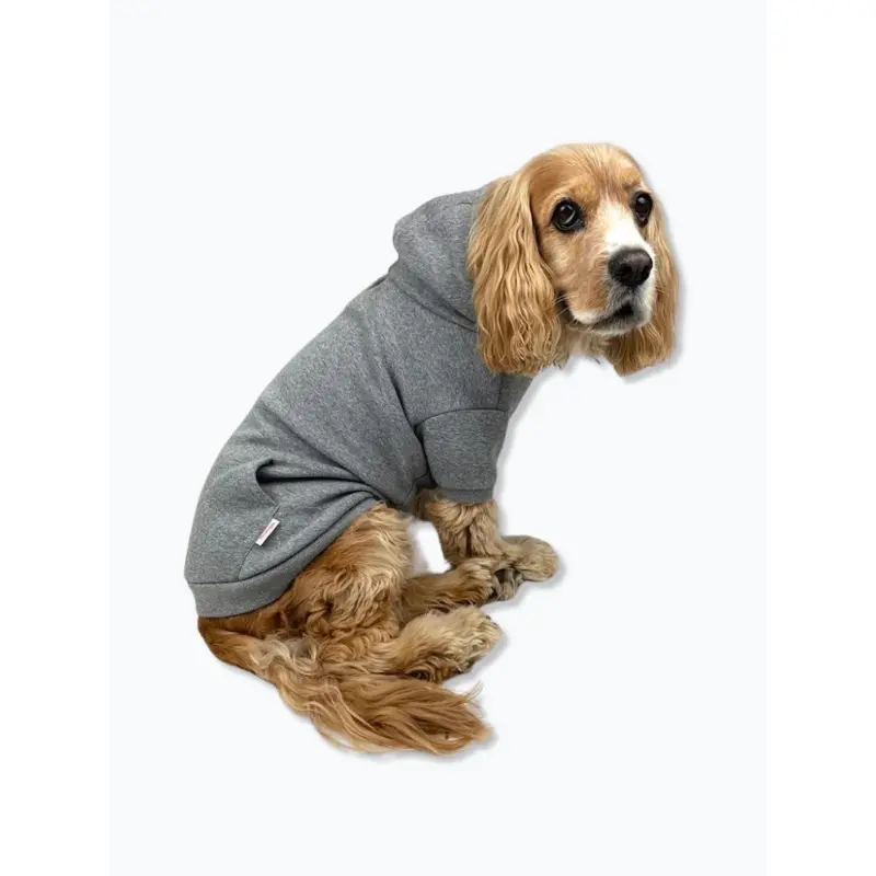 Pullover Dog Hoodie in Grey (FINAL SALE)