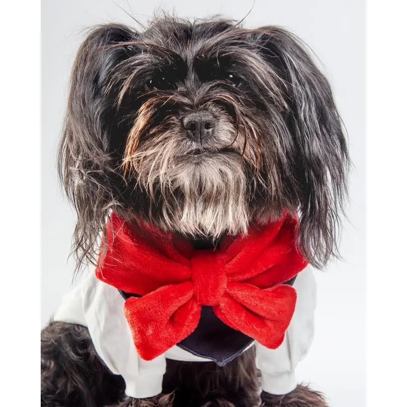 Red Velour Bow Dog Bandana
