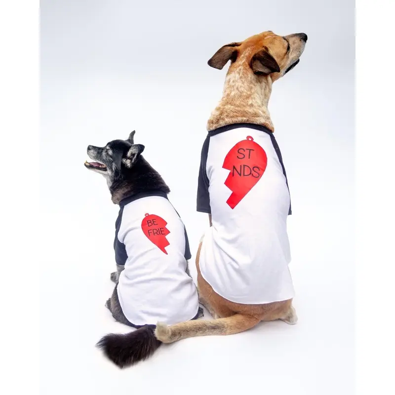 *Best Friends* Graphic Dog T-Shirt (Left Heart)