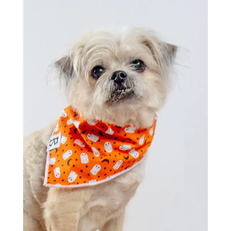 "Boo-Tiful Nights" Orange Ghosts Halloween Dog Bandana (Made in the USA)