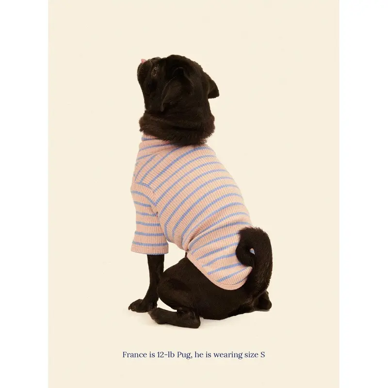 Catch Me Outside Dog Shirt (FINAL SALE)