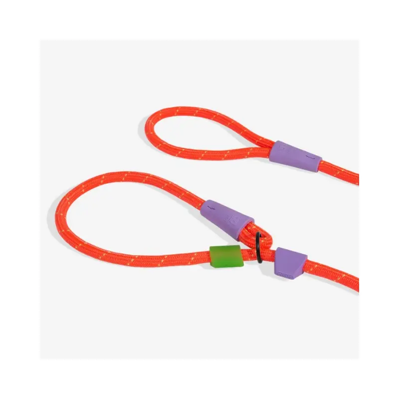 Slip-N-Lock Dog Leash in Everest