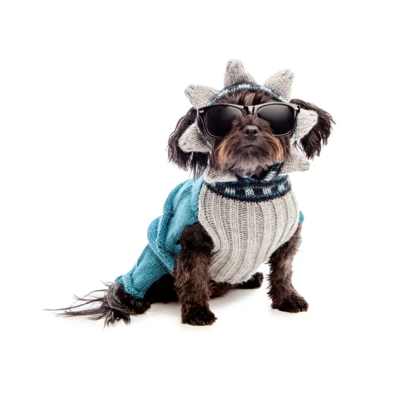 Statue of Liberty Sweater (Dog & Co. Exclusive)