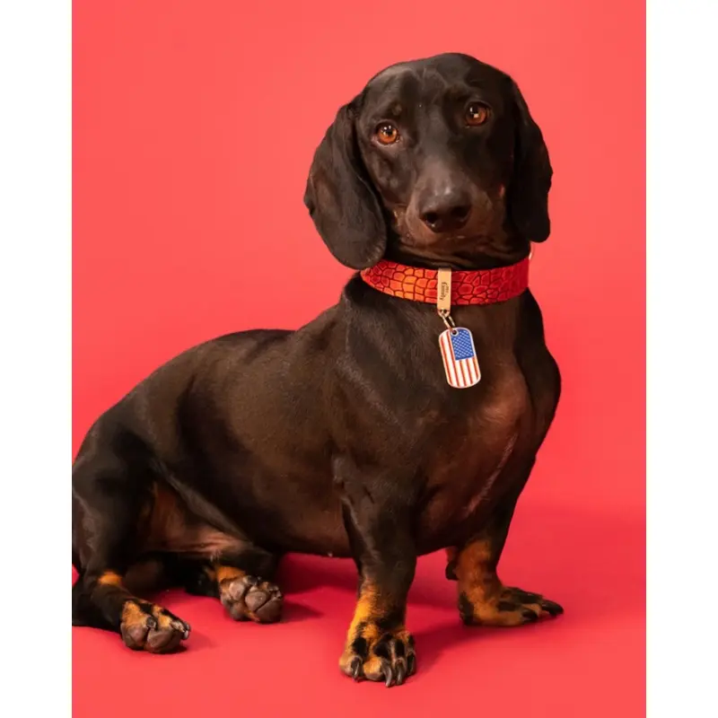 USA Flag Pet ID Tag
