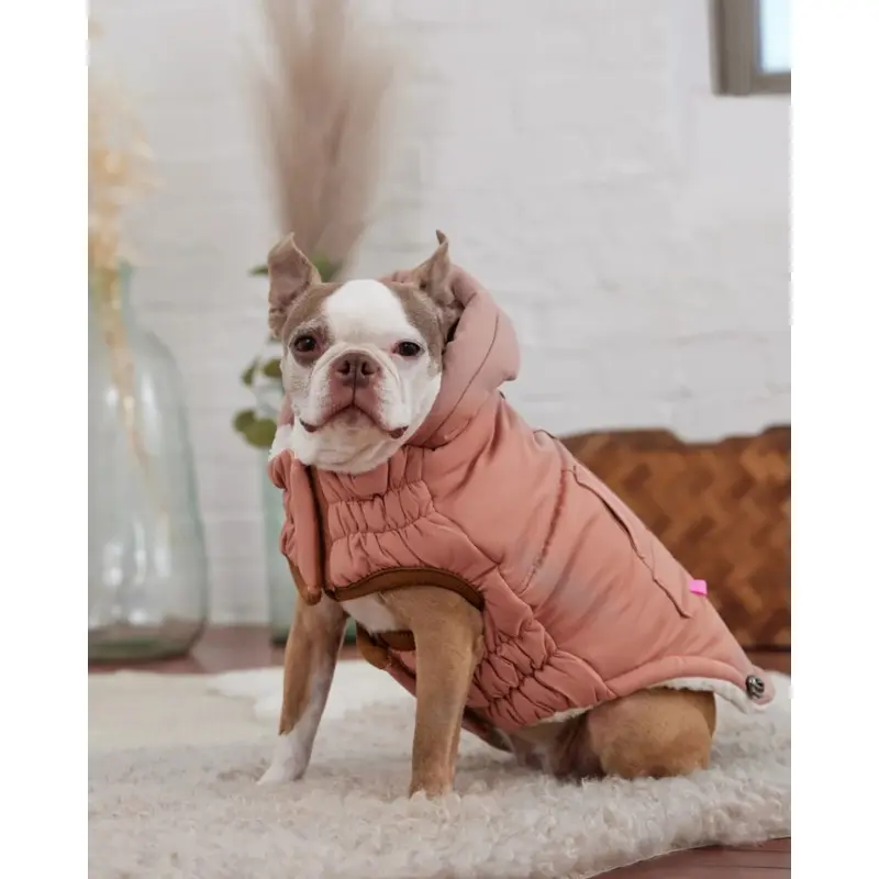 Arctic Dog Parka in Clay