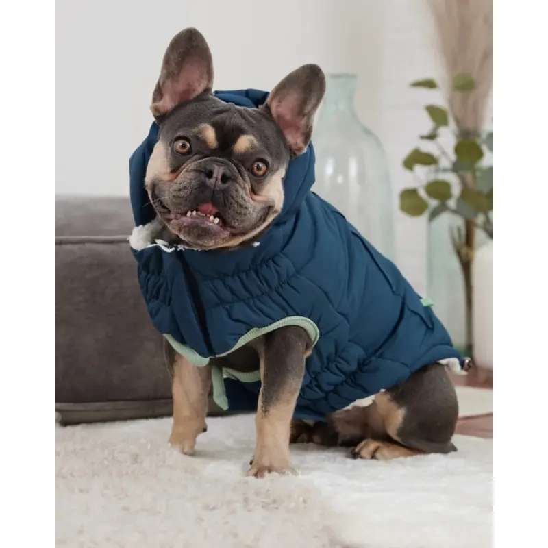 Arctic Dog Parka in Wintergreen