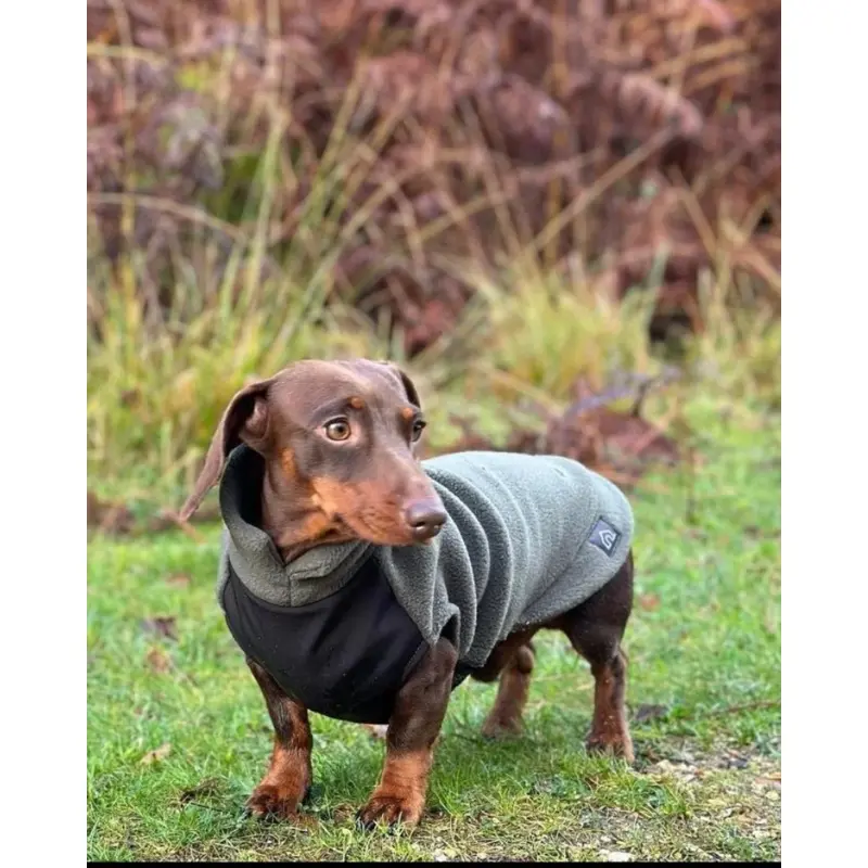 Dachshund Fleece Jumper with Waterproof Belly Panel (Made in the UK)