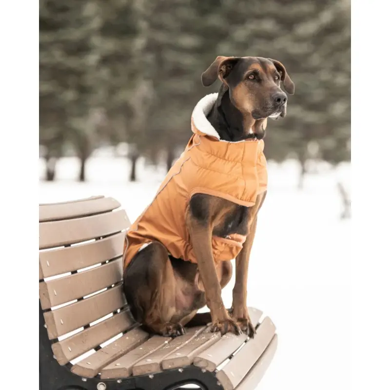 Insulated Raincoat in Hazel (FINAL SALE)