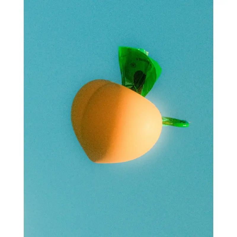 Peach Poop Bag Holder