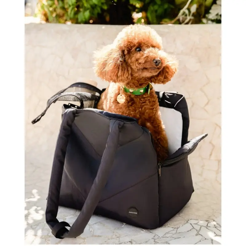 The Destination Pet Carrier Tote (Enclosed)