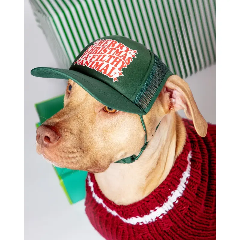 Ya Filthy Animal Holiday Pet Trucker Hat (DOG & CO. EXCLUSIVE)