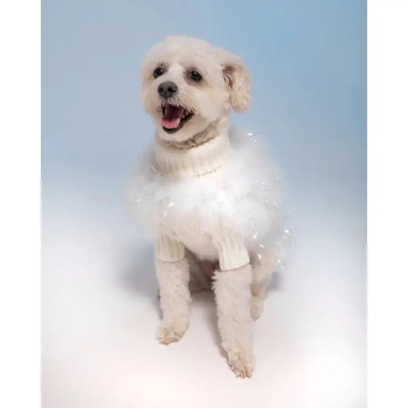 Angel Glitz Dog Jumper in Snow White