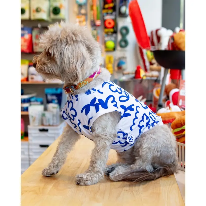 Blue Scribbles Cooling Dog Tee (FINAL SALE)