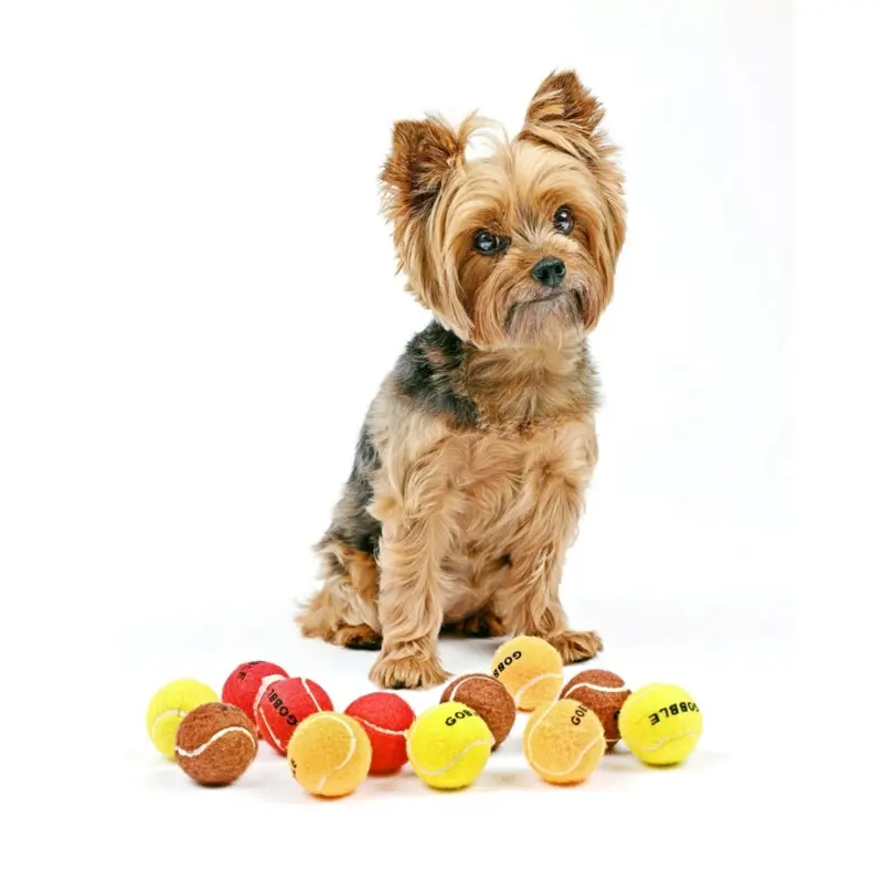 Gobble Gobble Mini Tennis Balls for Small Dogs
