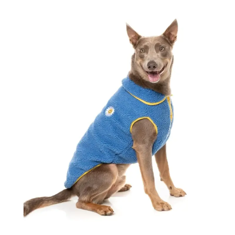 Hana Dog Jacket in Blue (FINAL SALE)