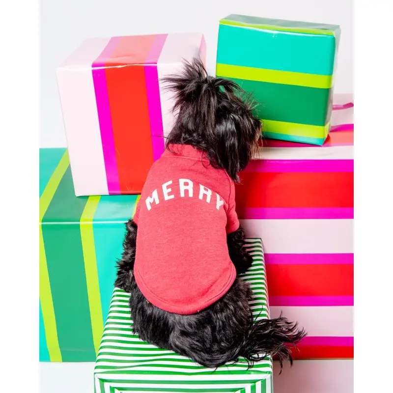 "Merry" Holiday Sweatshirt for Dogs (SALE)