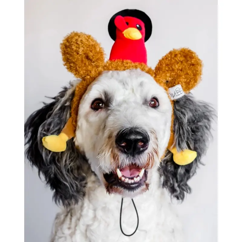 Mr Turkey Thankgiving Headband for Dogs