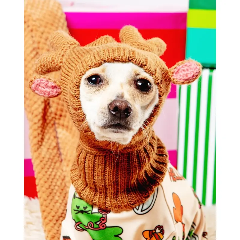 Reindeer Knit Hat for Dogs (FINAL SALE) (FW24LO)