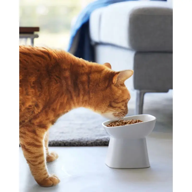 Tilted Pet Food Bowl