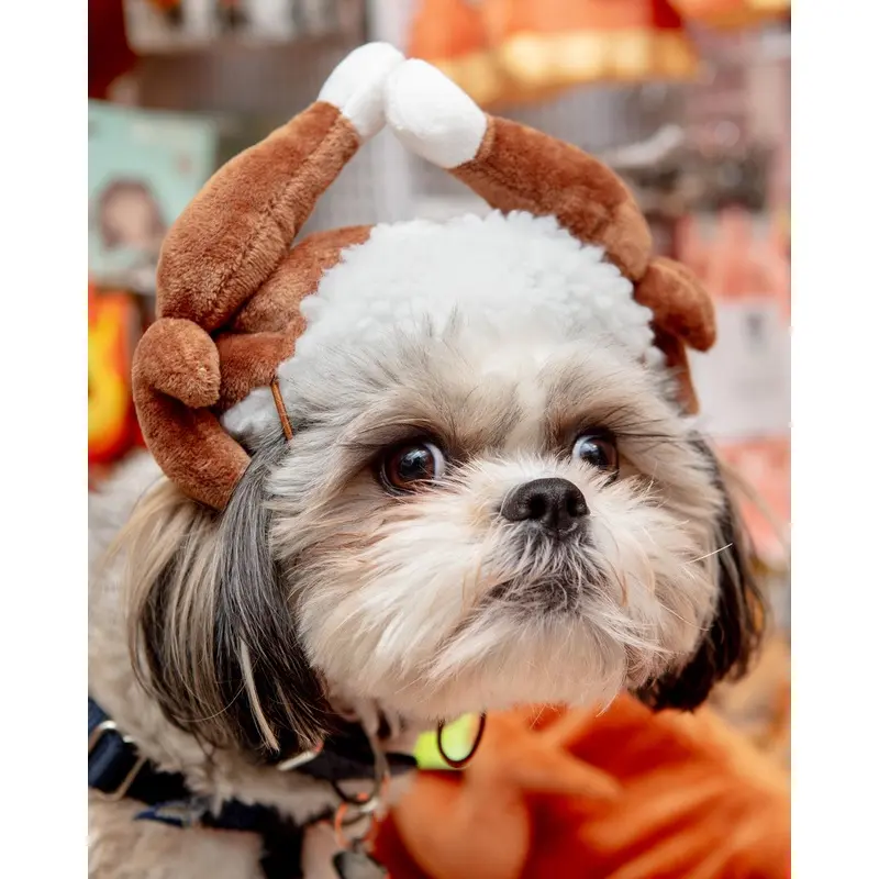 Turkey Taster Dog Hat